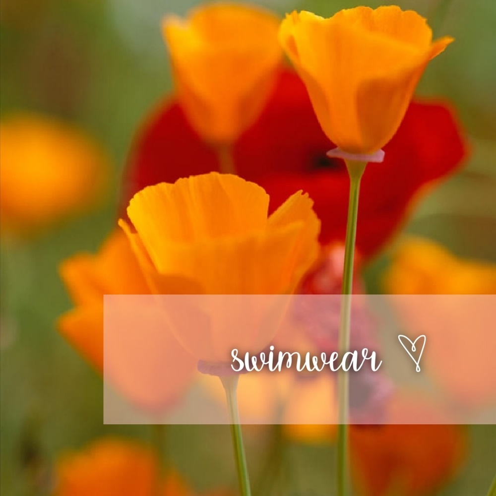 | Splashes & Sunbathing |